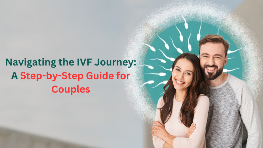 Navigating the IVF Journey: A Step-by-Step Guide for Couples  Female 