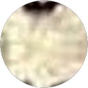 Acky Patel profile picture